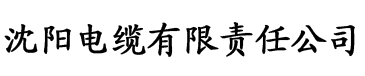 “失忆后老公是竹马江一北”电缆厂logo